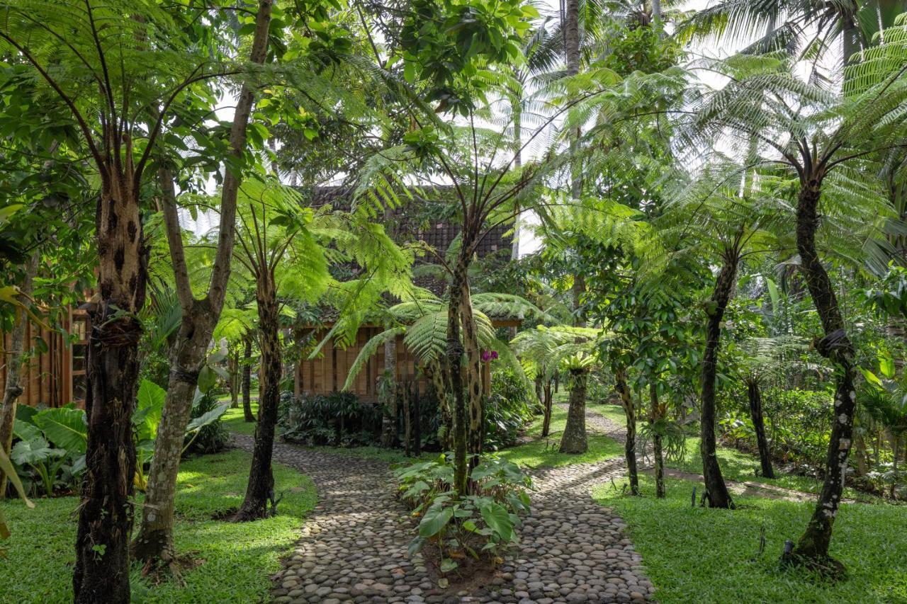 Rumah Kayu Resort อูบุด ภายนอก รูปภาพ